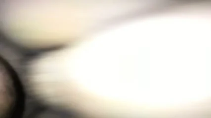 Ngentot Sama Binor STW Tobrut - Video Porno Gratuite HD | Jeux de Rue